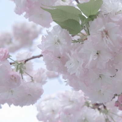 Furry手绘上色教程Furry群